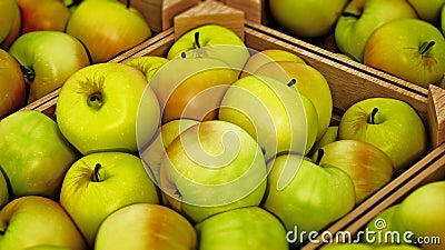 Fresh newly harvested apples inside crates. 3D illustration Cartoon Illustration