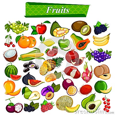 Fresh and nutritious fruit set including apple, orange, grapes, coconut, berry Vector Illustration