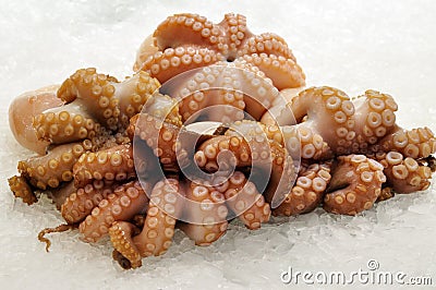 Fresh Octopus on ice Stock Photo