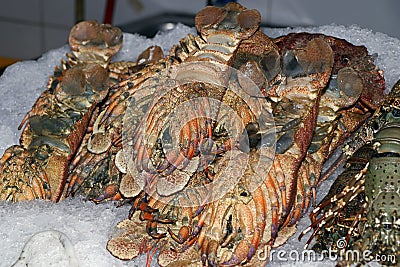 Fresh omani lobster on ice in a market stall in dubai for sell Stock Photo