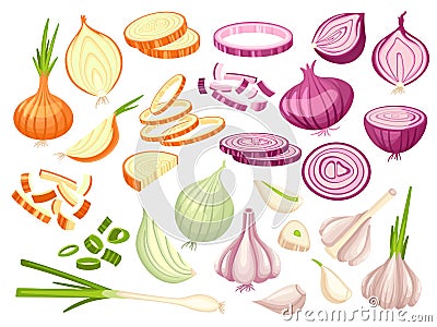 Fresh onion. Cartoon cutting red, white and green onions. Cut raw vegetables, slices and half parts. Garlic pieces Vector Illustration