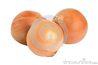 Fresh onion Group Stock Photo