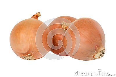 Fresh onion Group Stock Photo