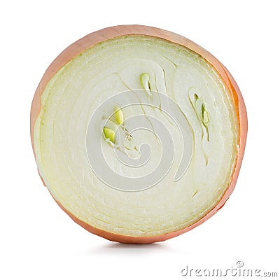 Fresh onion half with green sprouts Stock Photo