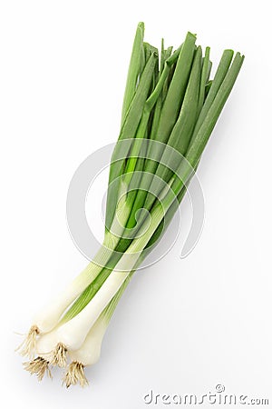 Fresh onion Stock Photo