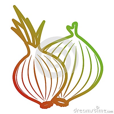 fresh onion vegetarian food Cartoon Illustration