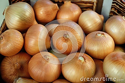 Fresh onions Stock Photo