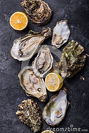 Fresh open Oysters. Healthy sea food. Dinner in restaurant. Gourmet food. Dark background. Top view Stock Photo