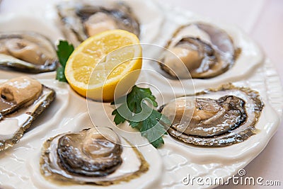 Fresh open oysters with lemon Stock Photo