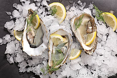 Fresh opened oyster Stock Photo