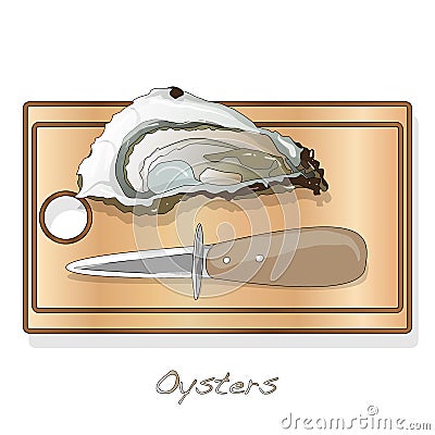 Fresh opened oyster vectorv images set on plate / dish isolated on white background Vector Illustration