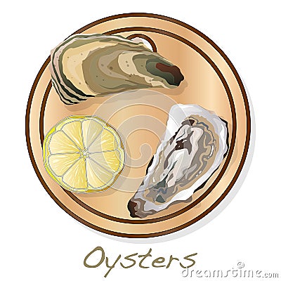 Fresh opened oyster vectorv images set on plate / dish isolated on white background Vector Illustration