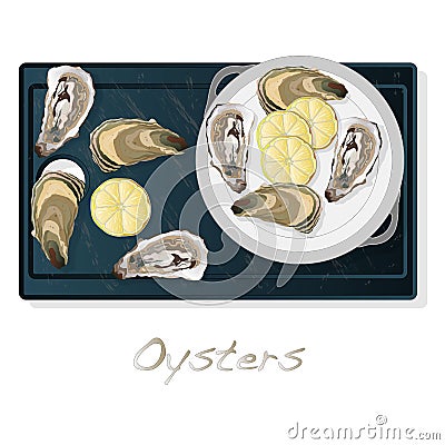 Fresh opened oyster vectorv images set on plate / dish isolated on white background Vector Illustration