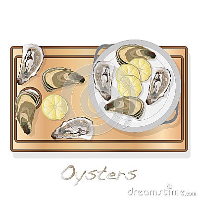 Fresh opened oyster vector images set on plate / dish isolated on white background Vector Illustration