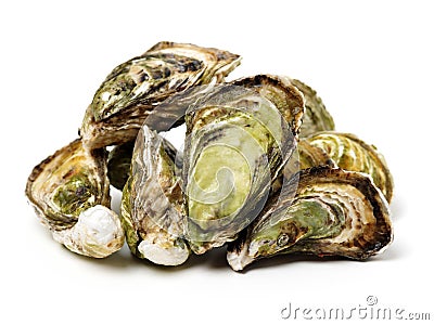 Fresh opened oyster Stock Photo