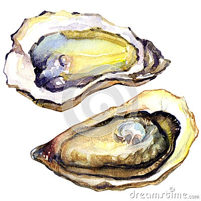 Fresh opened oyster on white background Stock Photo