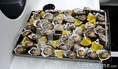 Fresh opened oysters at the boat in Walvis bay, Namibia Stock Photo