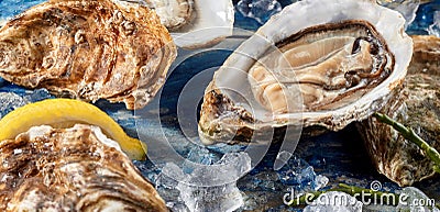 Fresh opened uncooked marine oyster Stock Photo