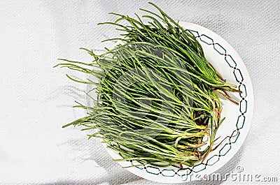 Fresh opposite-leaved saltwort -agretti - Stock Photo