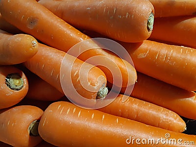 Fresh orange carrots. Organic vegetarian concept. Stock Photo