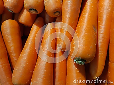Fresh orange carrots. Organic vegetarian concept. Stock Photo