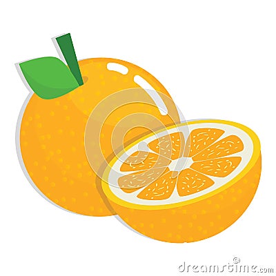 Fresh Orange Fruit Vector Illustration