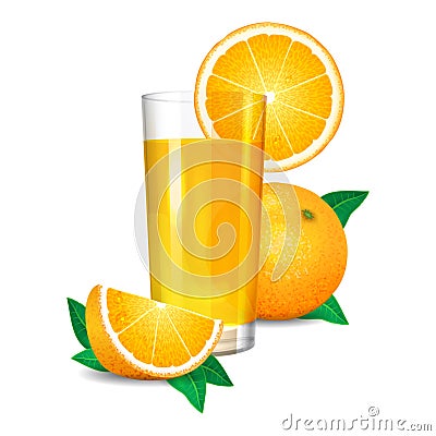 Fresh orange juice and pieces of orange, citrus juice Vector Illustration