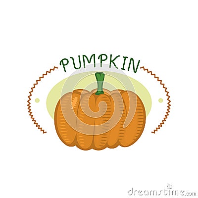 Fresh orange pumpkin badge isolated vector illustration. Vector Illustration