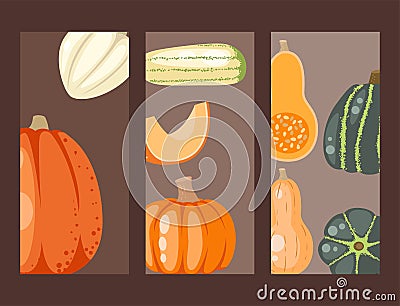 Fresh orange pumpkin cards decorative seasonal ripe food organic healthy vegetarian vegetable vector Vector Illustration