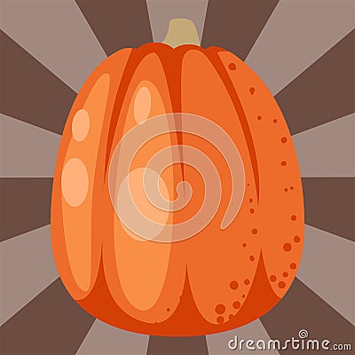 Fresh orange pumpkin decorative seasonal ripe food organic healthy vegetarian vegetable vector Vector Illustration