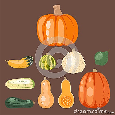 Fresh orange pumpkin decorative seasonal ripe food organic healthy vegetarian vegetable vector Vector Illustration