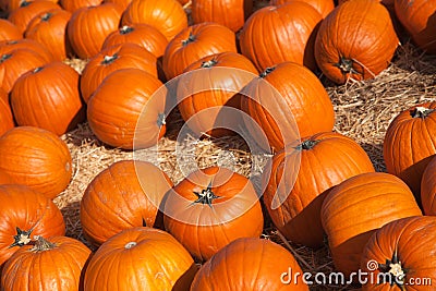 Fresh Orange Pumpkins and Hay in a Rustic Outdoor Fall Setting Stock Photo