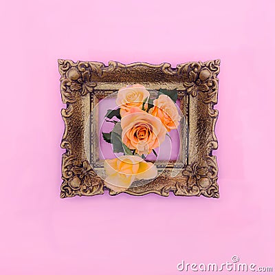 Fresh orange roses coming out of a retro baroque golden frame on a pastel pink background. Stock Photo