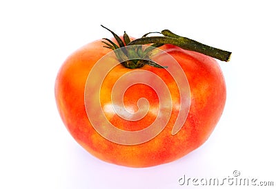 Fresh orange tomatoes, isolated on a white background Concepts, vegetables, kitchen gardens and as a health food. Illustration - l Stock Photo