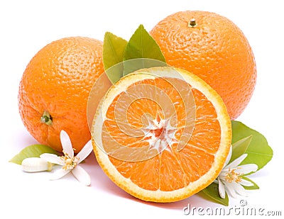 Fresh Oranges Stock Photo