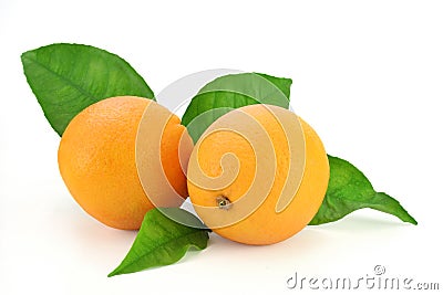 Fresh oranges with leaves Stock Photo