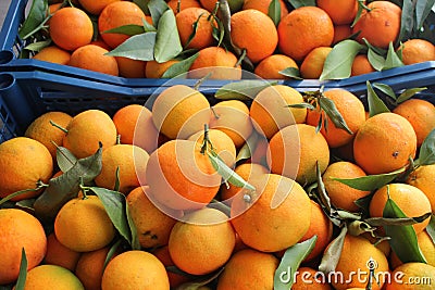 Fresh oranges on the market Stock Photo