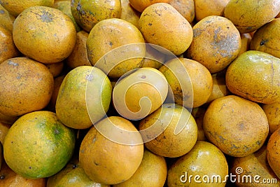 fresh oranges picked from the garden Stock Photo