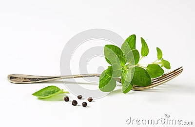 Fresh oregano sprigs on fork Stock Photo