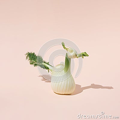 Fresh organic bird shaped fennel vegetable isolated on pink background Stock Photo