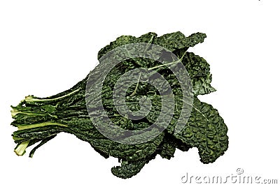 Fresh organic black Kale Stock Photo