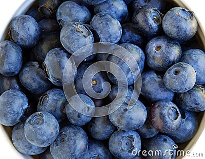 Fresh organic blueberries Stock Photo