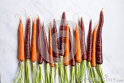 Fresh Organic Carrots on Marble Surface Stock Photo