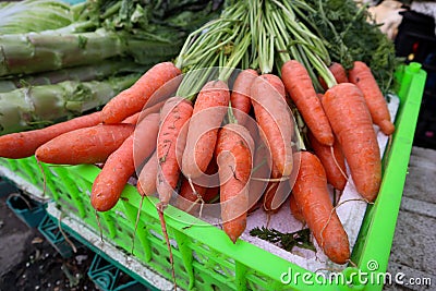 Fresh organic carrots in green plastic basket Stock Photo