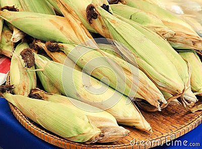 Fresh organic corn with cover green leaf at farm Stock Photo