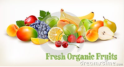 Fresh Organic Fruits And Berries Isolated On White Background. Vector Illustration