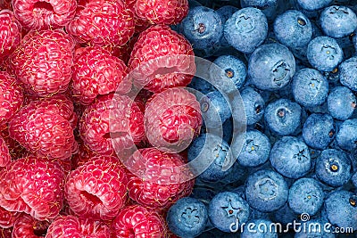 Fresh organic fruits,big macro raspberries and blueberries Stock Photo