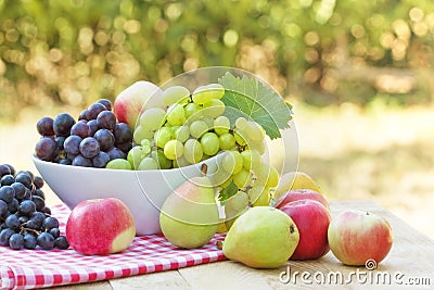 Fresh organic fruits Stock Photo