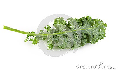 Fresh organic green kale leaves isolated over white background Stock Photo