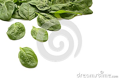 Fresh organic spinach leaves as a corner background with copy space isolated on white Stock Photo